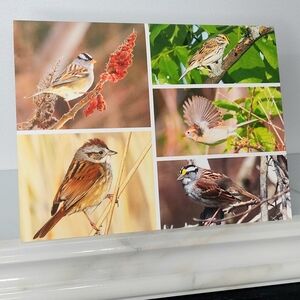 Sparrows Matte Finish 4.25" x 5.5" Blank Photo Note Card
